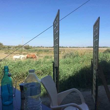 En Camargue Lejlighed Salin-de-Giraud Eksteriør billede